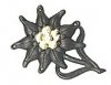 brown_metal_edelweiss_small.jpg